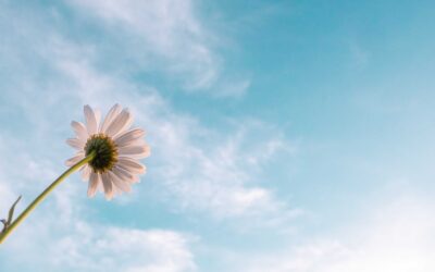 Ο φόβος της Αποτυχίας