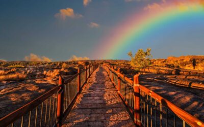 Περπατώντας στο μονοπάτι της Ψυχοθεραπείας…